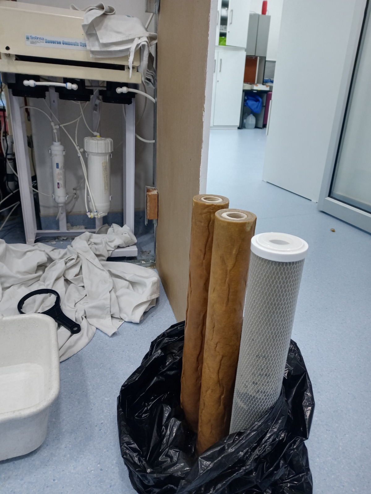 Imagen de WhatsApp 2025-09-16 a las 18.11.02_46747d31